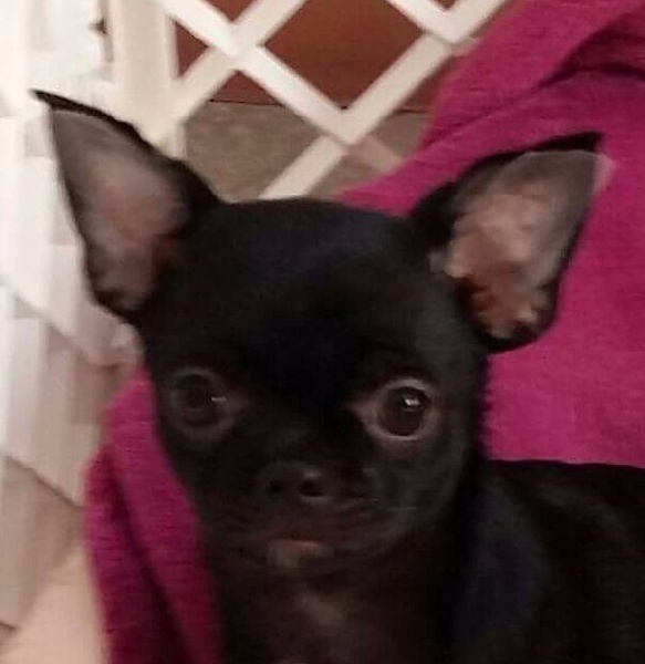 bébé ilove 
